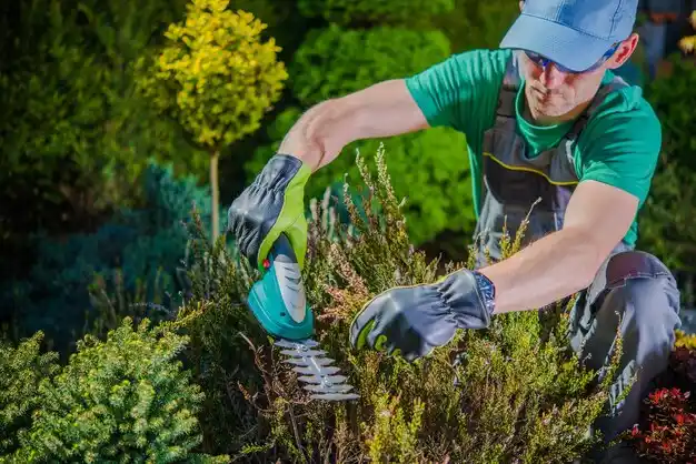 landscaping services Springhill